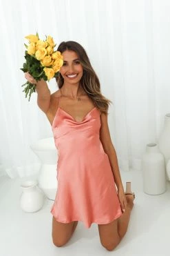 Hello Molly Keep It Safe Dress Clay