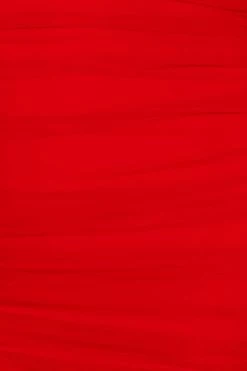 Hello Molly Popping Champagne Dress Red